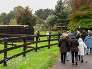 WG031025-16 - Warren Greatrex Stable Visit